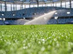 张本智和金,奈站比赛中,遭遇意外,亚博体育,亚博体育官网,亚博体育app,亚博体育下载