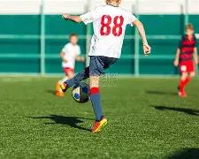 南特辛勤付,与里昂战成,平局,亚博体育,亚博体育官网,亚博体育app,亚博体育下载