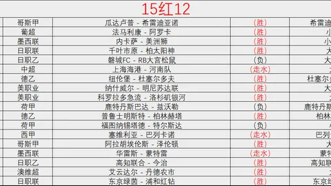 辉煌足迹，国安铁卫李磊荣耀战记：300场里程碑，国脚荣耀再升级！